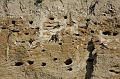Resize of _MG_1447